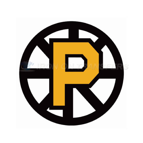 Providence Bruins Iron-on Stickers (Heat Transfers)NO.9118